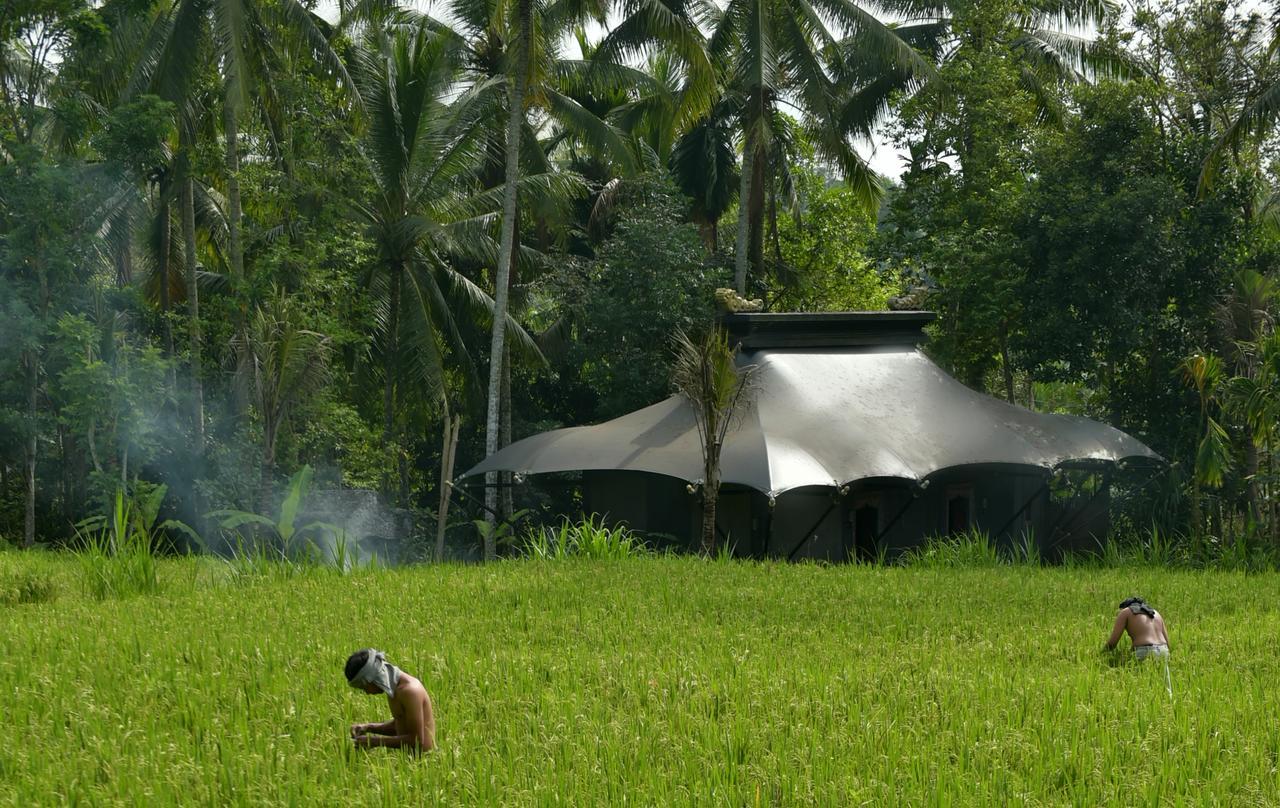 Capella Ubud, Bali Station touristique 5*